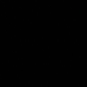 Meet your Posher, Jadyn